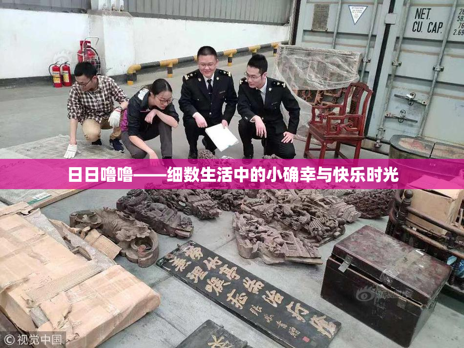 日日噜噜——细数生活中的小确幸与快乐时光