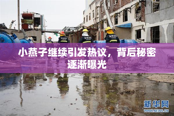 小燕子继续引发热议，背后秘密逐渐曝光