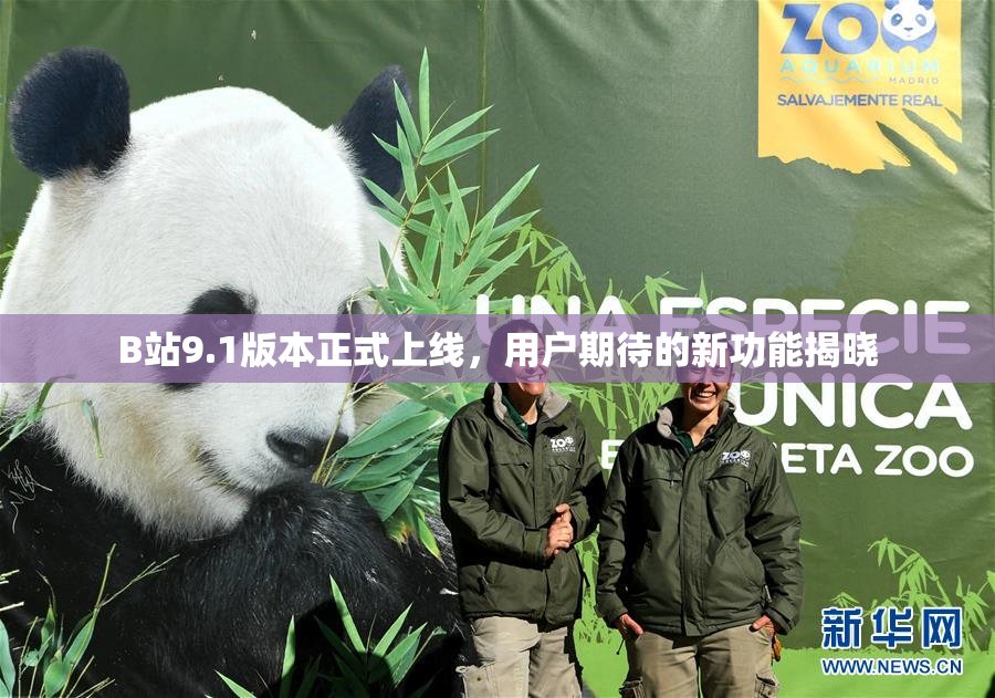 B站9.1版本正式上线，用户期待的新功能揭晓