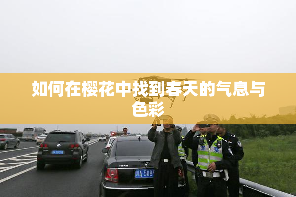 如何在樱花中找到春天的气息与色彩