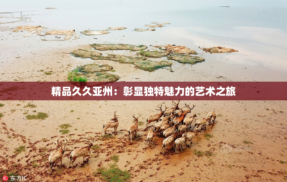 精品久久亚州：彰显独特魅力的艺术之旅