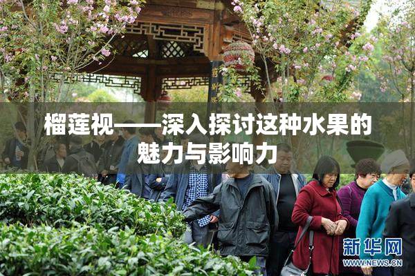 榴莲视——深入探讨这种水果的魅力与影响力