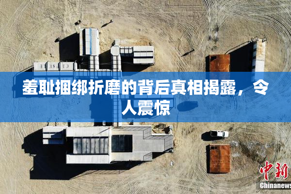 羞耻捆绑折磨的背后真相揭露，令人震惊