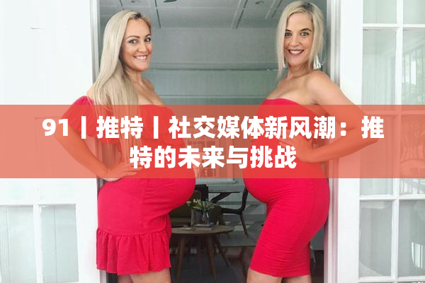 91丨推特丨社交媒体新风潮：推特的未来与挑战