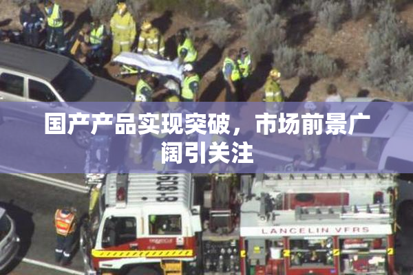 国产产品实现突破，市场前景广阔引关注