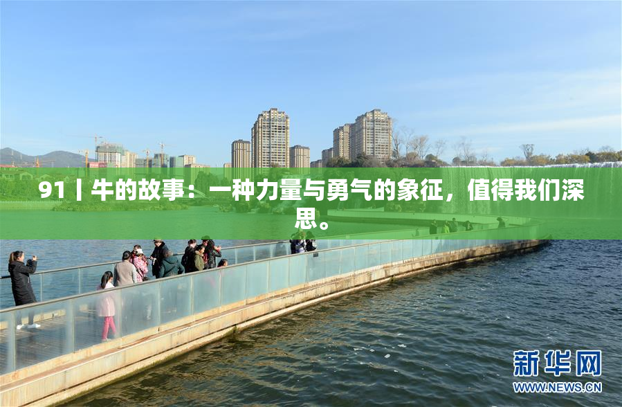 91丨牛的故事：一种力量与勇气的象征，值得我们深思。