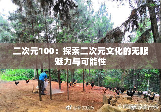 二次元100：探索二次元文化的无限魅力与可能性