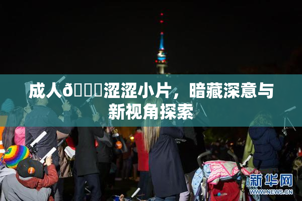 成人🔞涩涩小片，暗藏深意与新视角探索