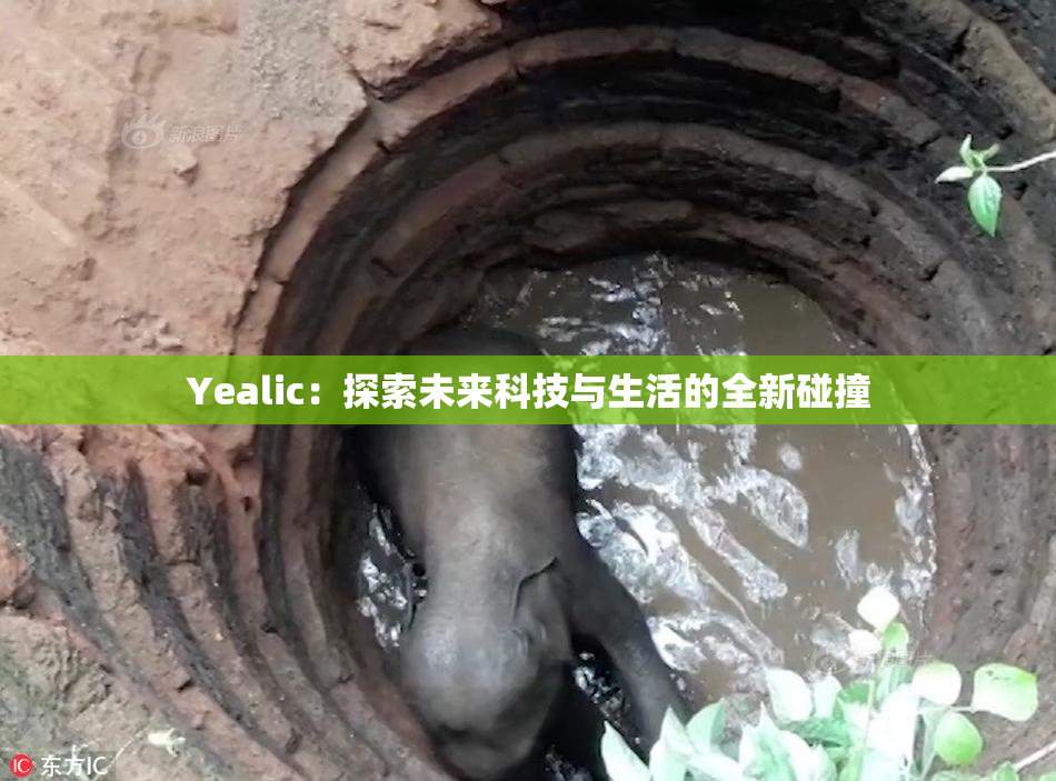 Yealic：探索未来科技与生活的全新碰撞