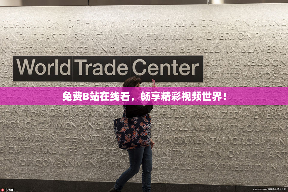 免费B站在线看，畅享精彩视频世界！