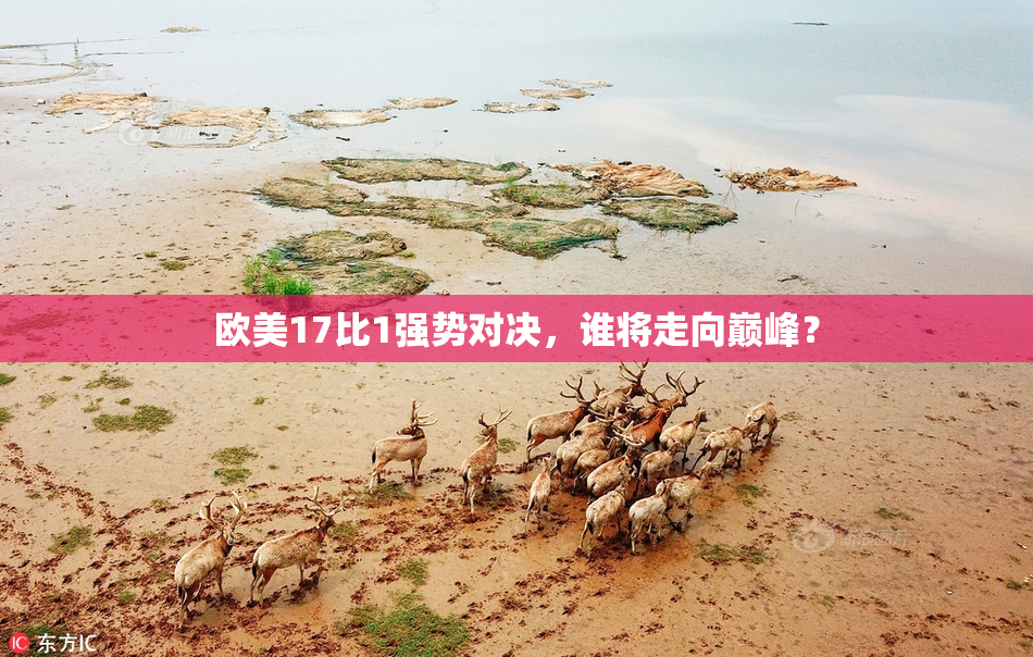欧美17比1强势对决，谁将走向巅峰？