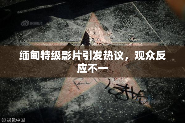 缅甸特级影片引发热议，观众反应不一