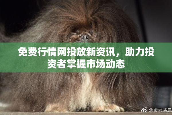 免费行情网投放新资讯，助力投资者掌握市场动态