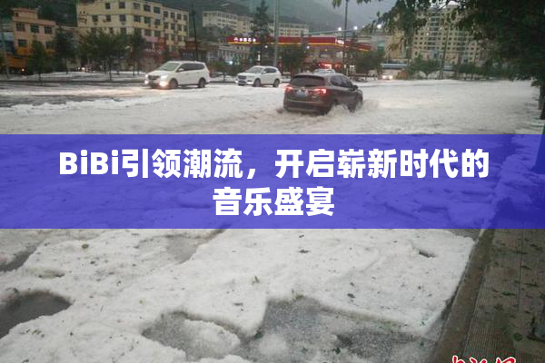 BiBi引领潮流，开启崭新时代的音乐盛宴