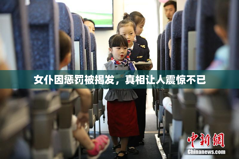 女仆因惩罚被揭发，真相让人震惊不已