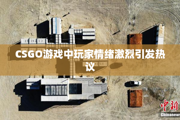CSGO游戏中玩家情绪激烈引发热议