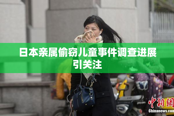 日本亲属偷窃儿童事件调查进展引关注