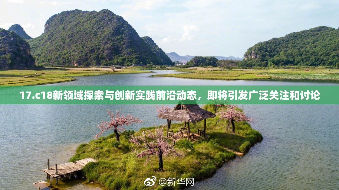 17.c18新领域探索与创新实践前沿动态，即将引发广泛关注和讨论