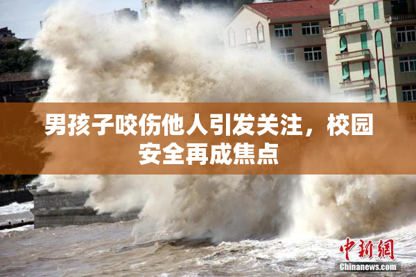 男孩子咬伤他人引发关注，校园安全再成焦点