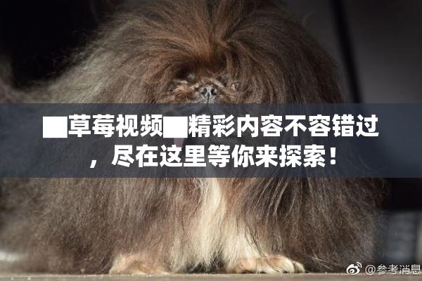 ▇草莓视频▇精彩内容不容错过，尽在这里等你来探索！