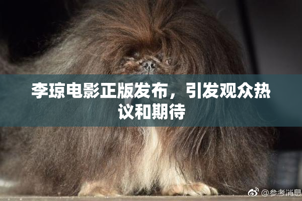 李琼电影正版发布，引发观众热议和期待