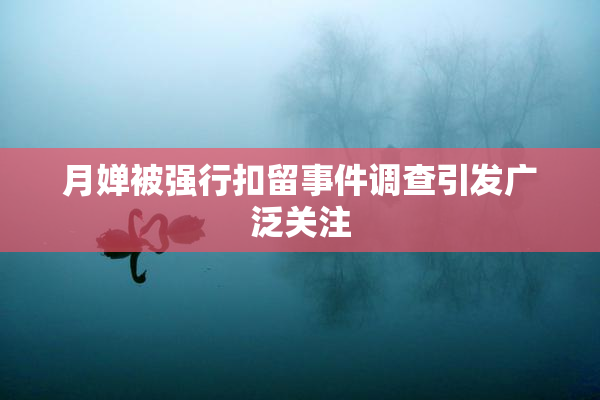 月婵被强行扣留事件调查引发广泛关注