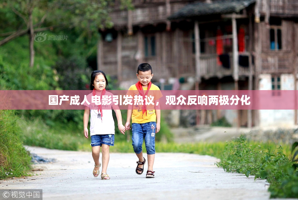 国产成人电影引发热议，观众反响两极分化