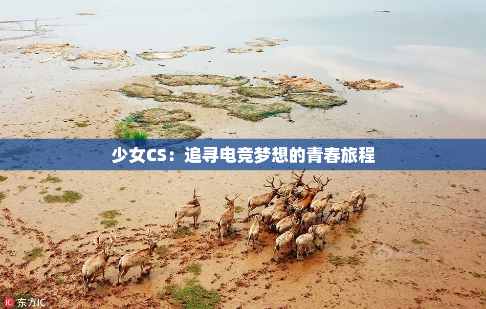 少女CS：追寻电竞梦想的青春旅程