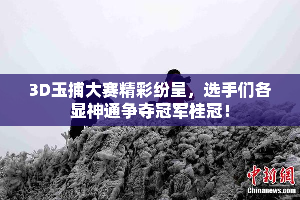 3D玉捕大赛精彩纷呈，选手们各显神通争夺冠军桂冠！