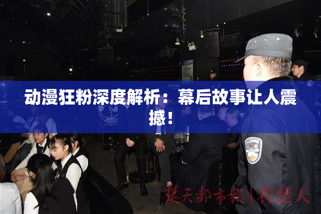 动漫狂粉深度解析：幕后故事让人震撼！