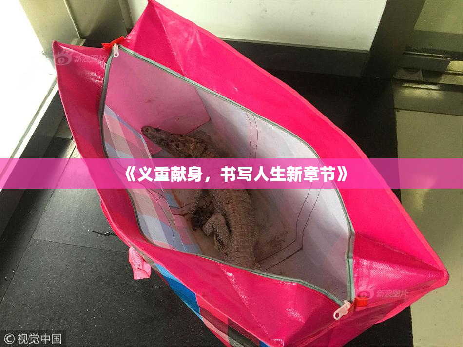 《义重献身，书写人生新章节》