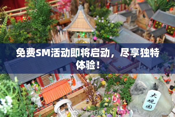免费SM活动即将启动，尽享独特体验！