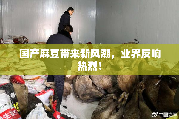 国产麻豆带来新风潮，业界反响热烈！