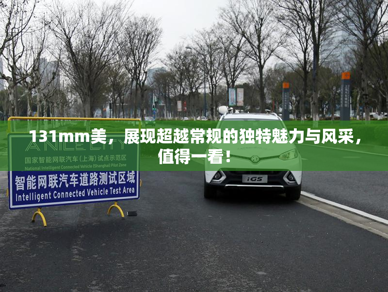 131mm美，展现超越常规的独特魅力与风采，值得一看！