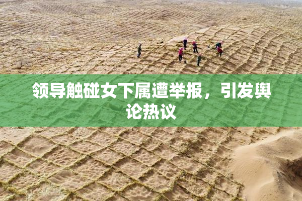 领导触碰女下属遭举报，引发舆论热议