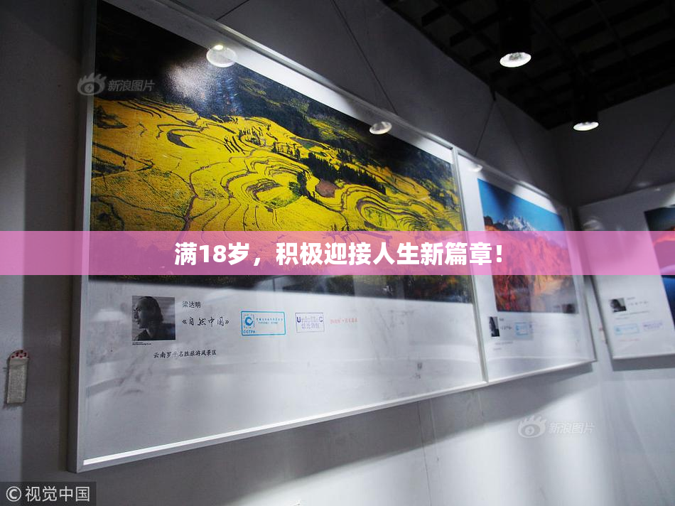 满18岁，积极迎接人生新篇章！