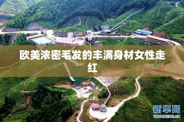 欧美浓密毛发的丰满身材女性走红