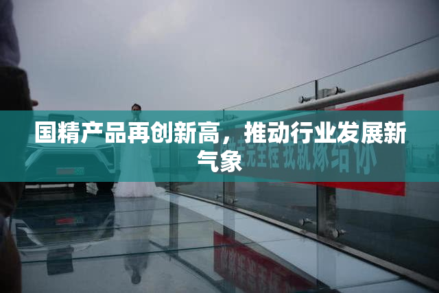 国精产品再创新高，推动行业发展新气象