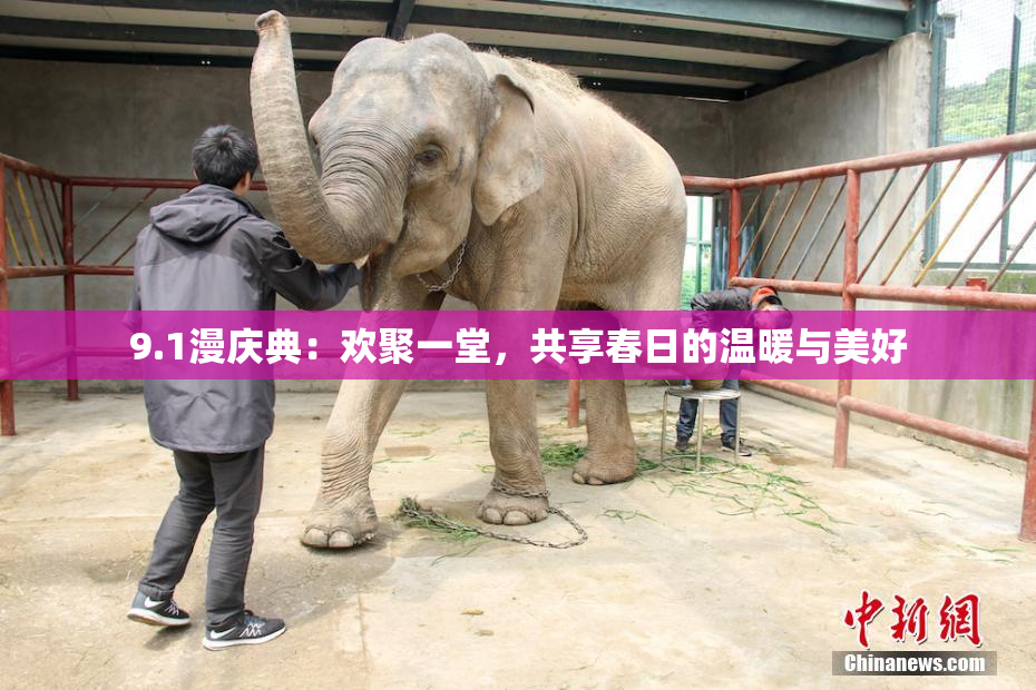 9.1漫庆典：欢聚一堂，共享春日的温暖与美好