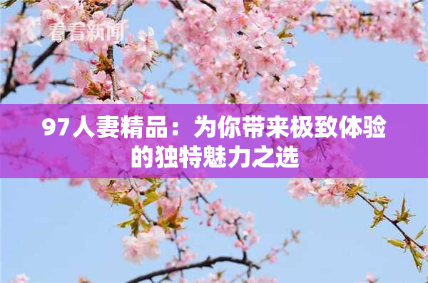 97人妻精品：为你带来极致体验的独特魅力之选