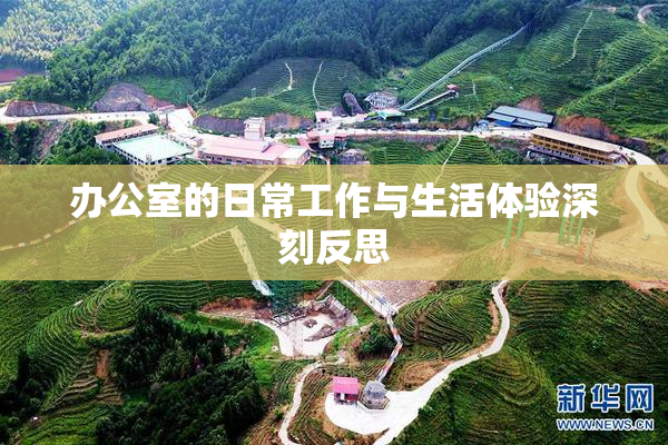 办公室的日常工作与生活体验深刻反思