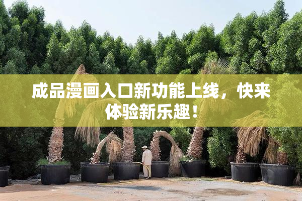 成品漫画入口新功能上线，快来体验新乐趣！