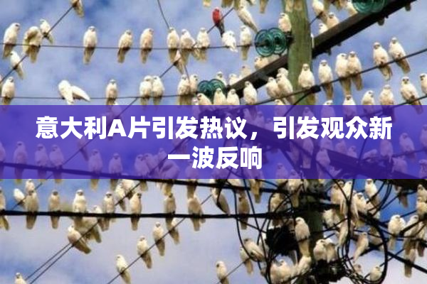 意大利A片引发热议，引发观众新一波反响