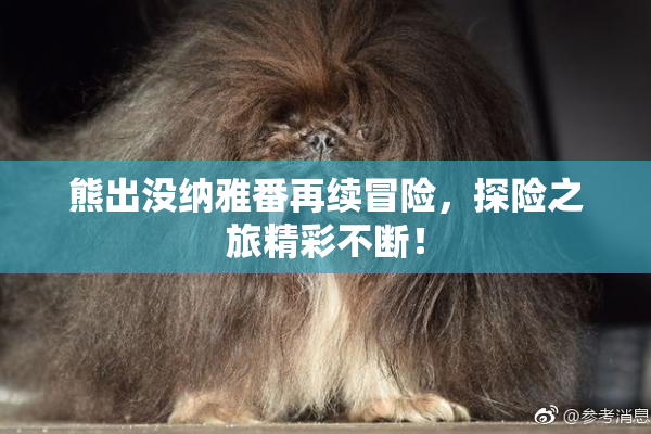 熊出没纳雅番再续冒险，探险之旅精彩不断！