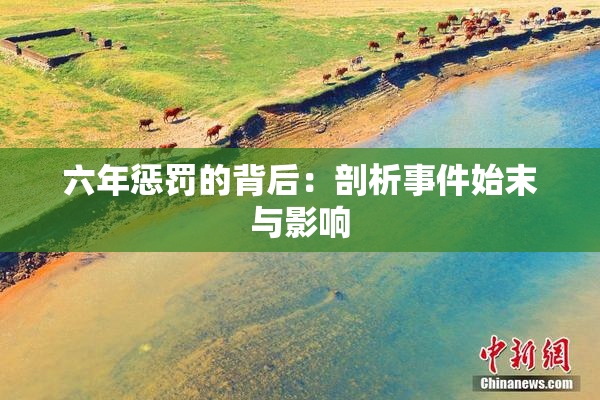 六年惩罚的背后：剖析事件始末与影响