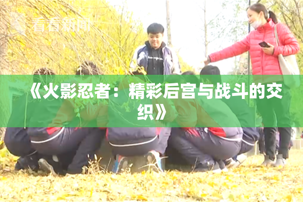《火影忍者：精彩后宫与战斗的交织》