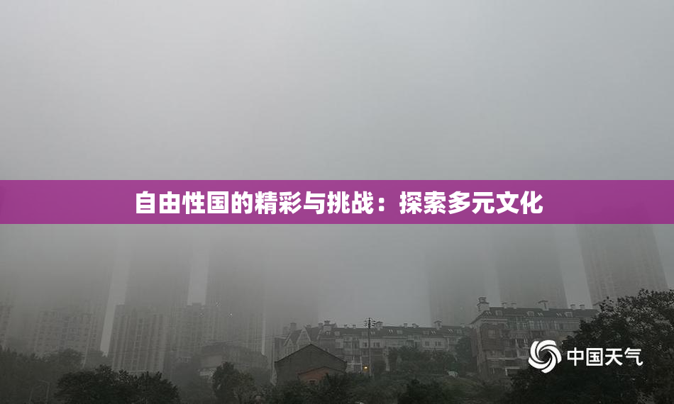 自由性国的精彩与挑战：探索多元文化