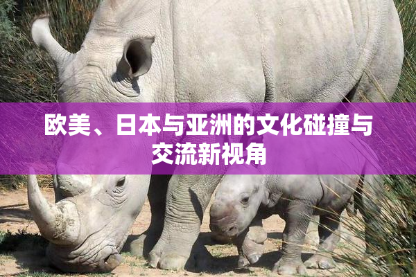 欧美、日本与亚洲的文化碰撞与交流新视角