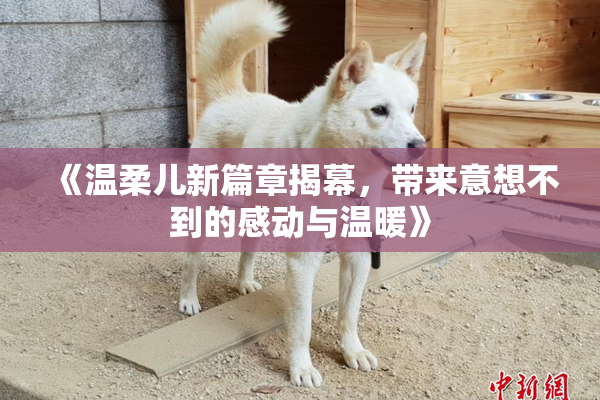 《温柔儿新篇章揭幕，带来意想不到的感动与温暖》