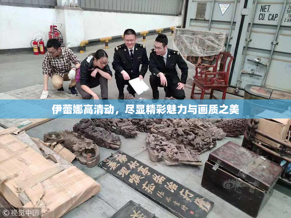 伊蕾娜高清动，尽显精彩魅力与画质之美